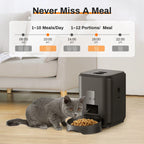 HEYBO Smart Pet Feeder | Automatic, 2L Capacity for Cats & Dogs